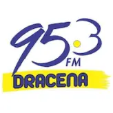 95,3 FM