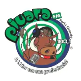 Rádio Piuara FM