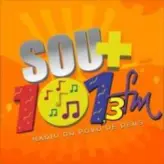 101.3 FM