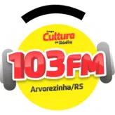 103 FM