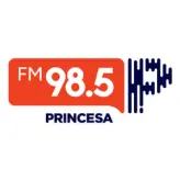 Rádio Princesa FM