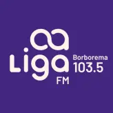Liga FM Borborema