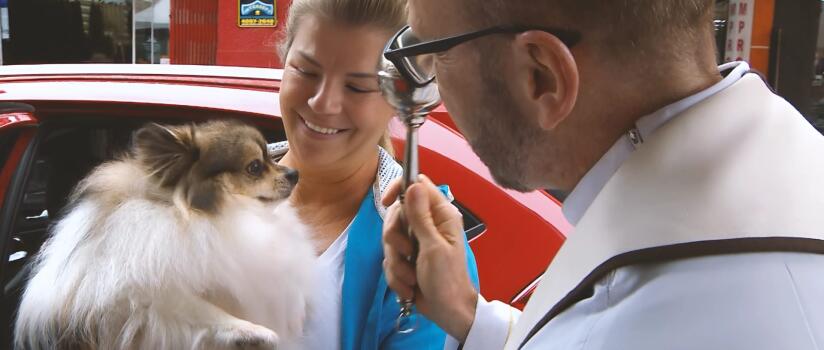 Curitiba recebe evento da Bênção dos Animais com atrações e atividades gratuitas