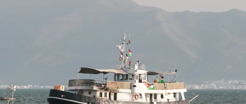 Oito dos 13 brasileiros da flotilha presos em Israel rejeitam assinar termo para deportação
