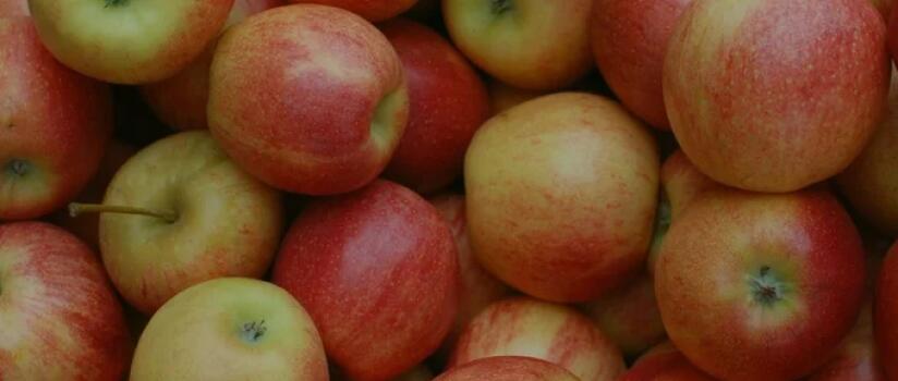 Brasil busca abrir mercados asiáticos para maçã