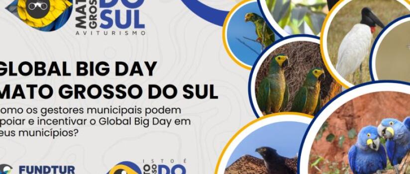 Mato Grosso do Sul se prepara para o Global Big Day com capacitação de gestores municipais