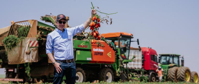 Do plantio à fábrica: conheça como é o 'processo seletivo' do tomate da Kraft Heinz Brasil | Exame