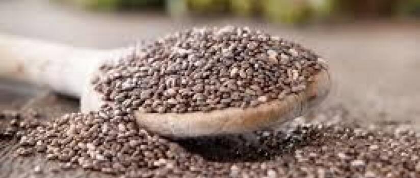 Agro brasileiro abre novos mercados na Argentina e no Paraguai