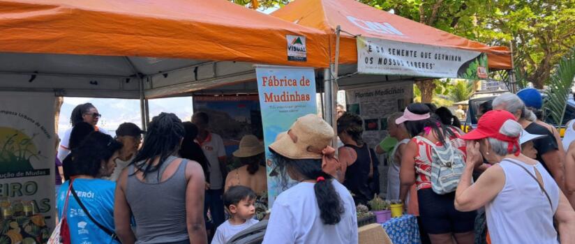 Companhia de Limpeza de Niterói celebrou o Dia da Árvore