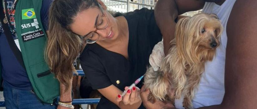 Primeira etapa da campanha de vacinação antirrábica imuniza mais de 52 mil cães e gatos
