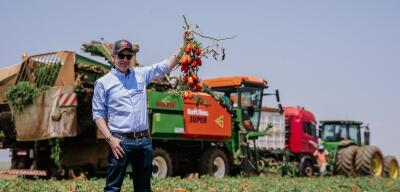 Do plantio à fábrica: conheça como é o 'processo seletivo' do tomate da Kraft Heinz Brasil | Exame