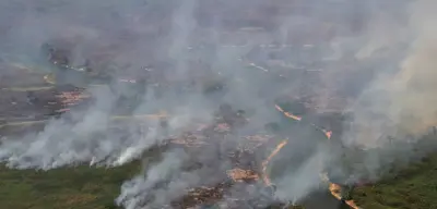 Frequência de desastres por incêndios florestais dispara no mundo, mostra estudo