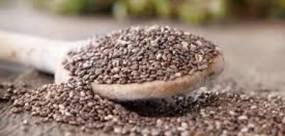 Agro brasileiro abre novos mercados na Argentina e no Paraguai