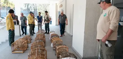 Operação no RJ resgata 700 animais silvestres e prende 45 pessoas