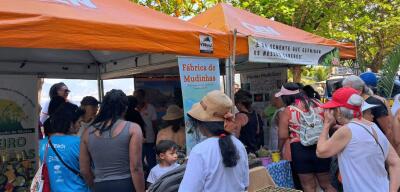 Companhia de Limpeza de Niterói celebrou o Dia da Árvore