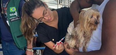 Primeira etapa da campanha de vacinação antirrábica imuniza mais de 52 mil cães e gatos