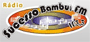Logo da rádio Rádio Sucesso Bambuí