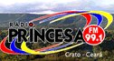 Logo da rádio Princesa FM